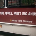 Anus Pounder