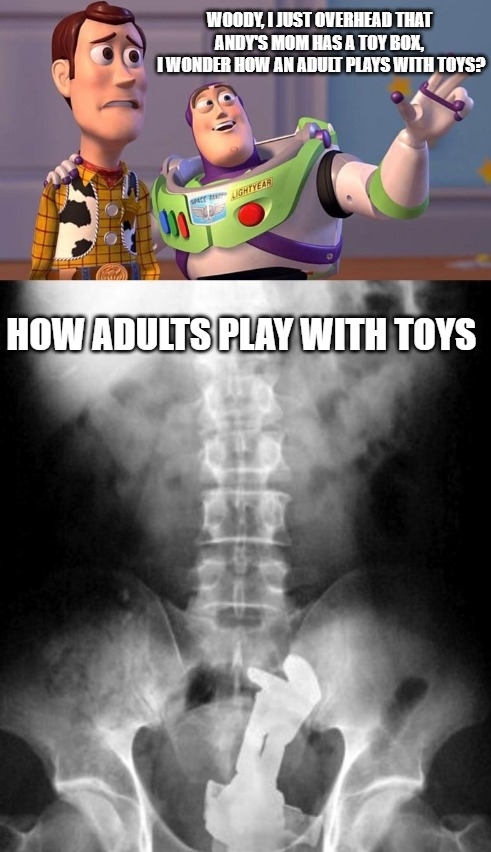 How Adults Play With Toys - meme