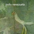 Pollo venezuela