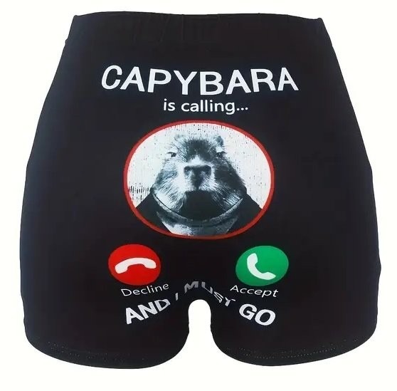 Capybara is calling - meme