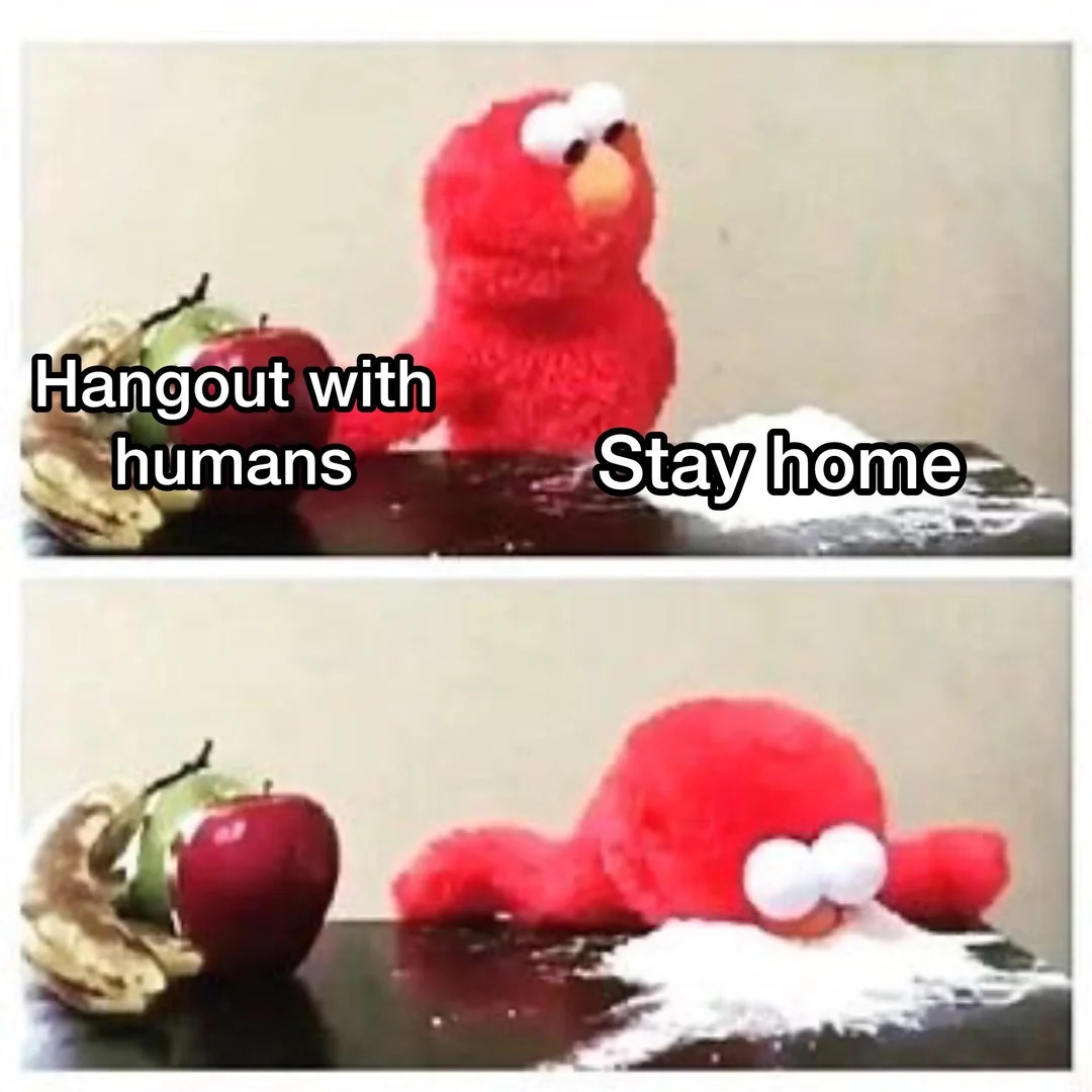 Stay home - meme