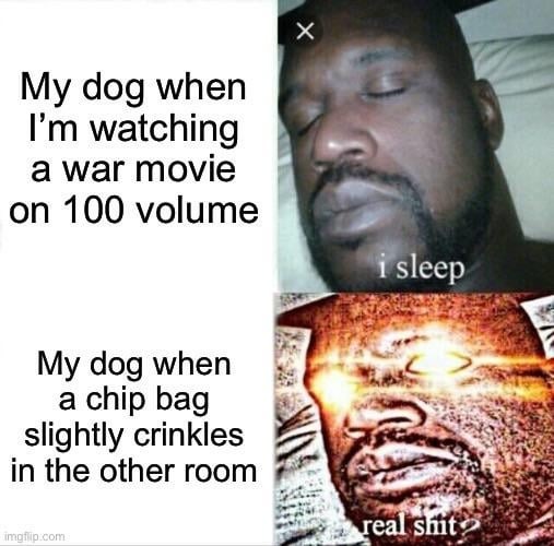 Duality of doggos - meme