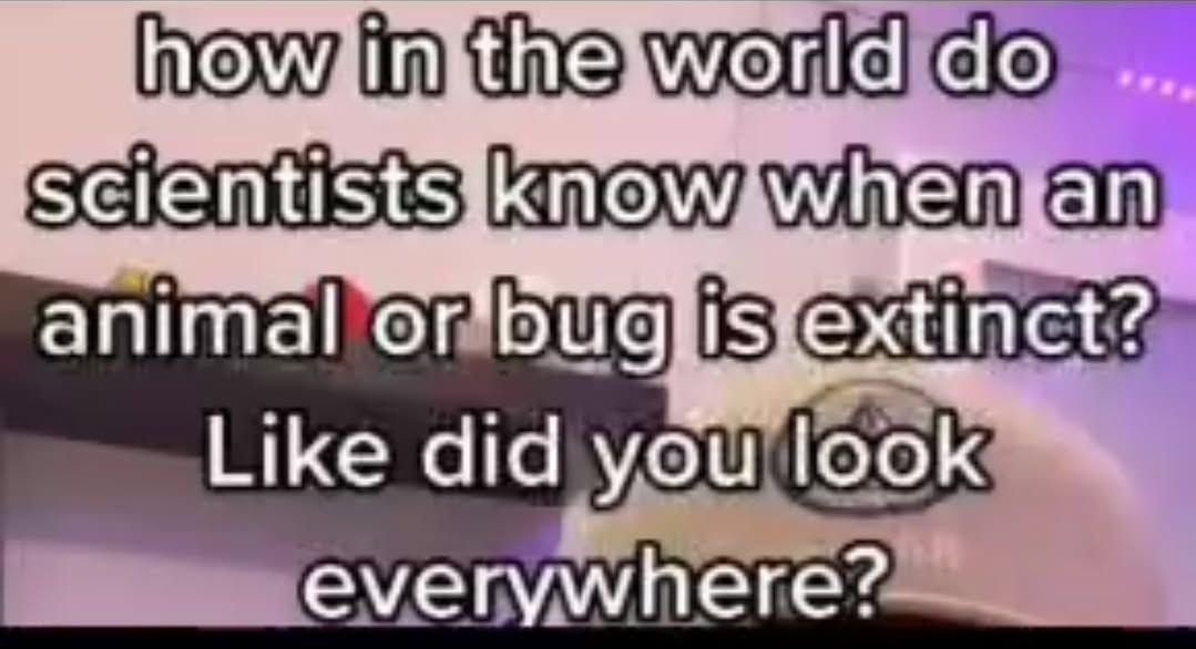 Y'all sure that bug's extinct? Did you check under the fridge? - meme