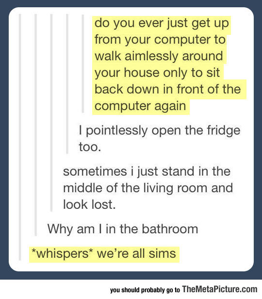 Sims  - meme