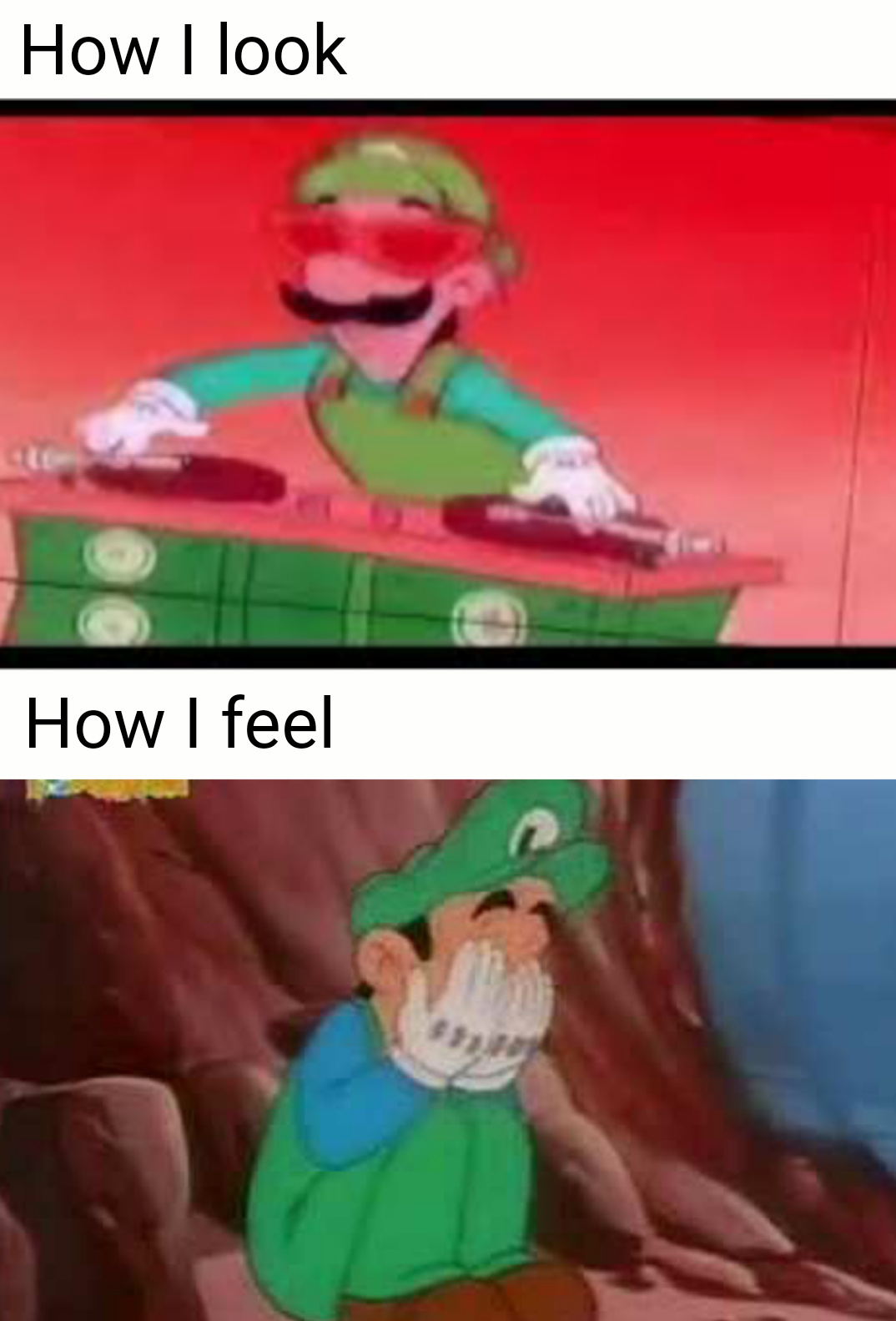 Luigi is my life - meme