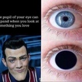 ROBBIE ROTTEN THE HOT