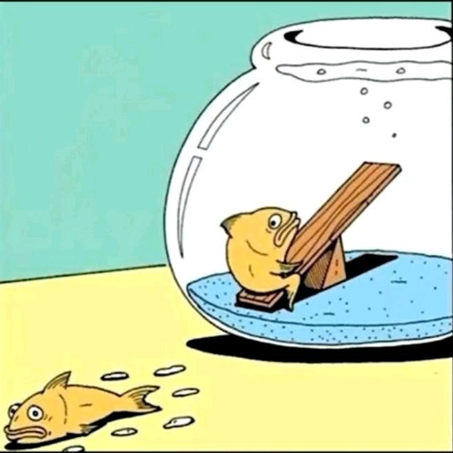 Poor fish - meme