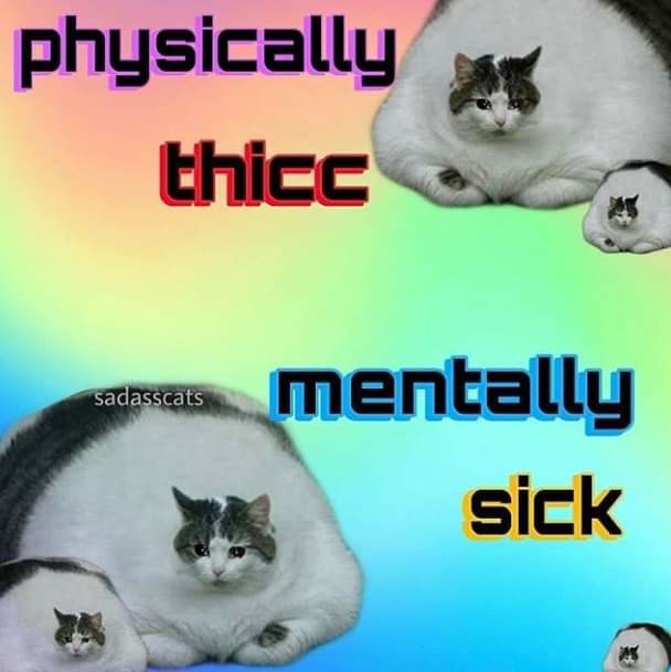 mentally thicc physically depressed - meme