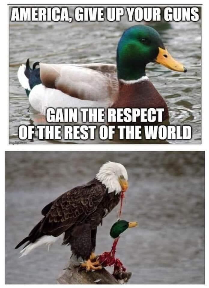 I love a good duck - meme