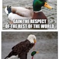 I love a good duck