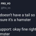 click on the hamster