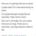 The truth about palm trees