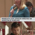 Minnesota senator Nicole Mitchell meme