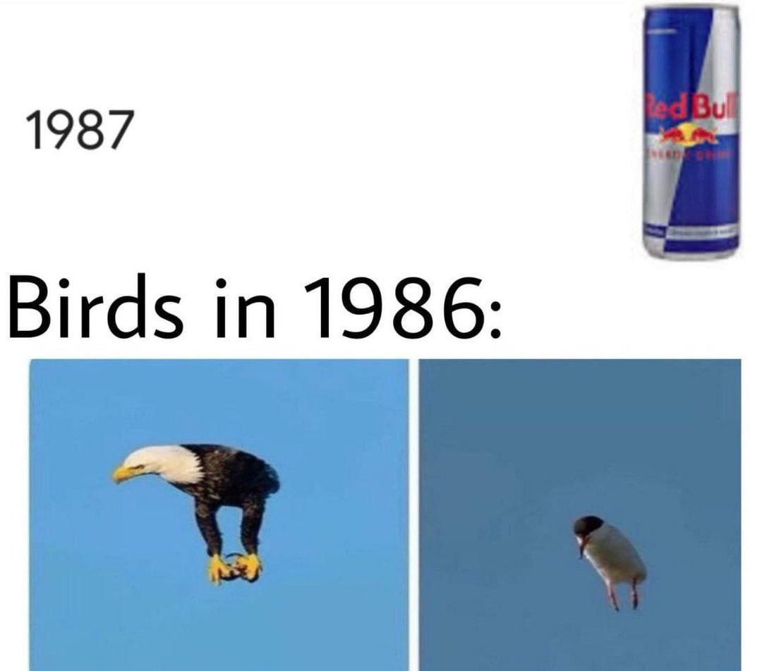 Los pájaros antes del 87 eran otra especie - meme