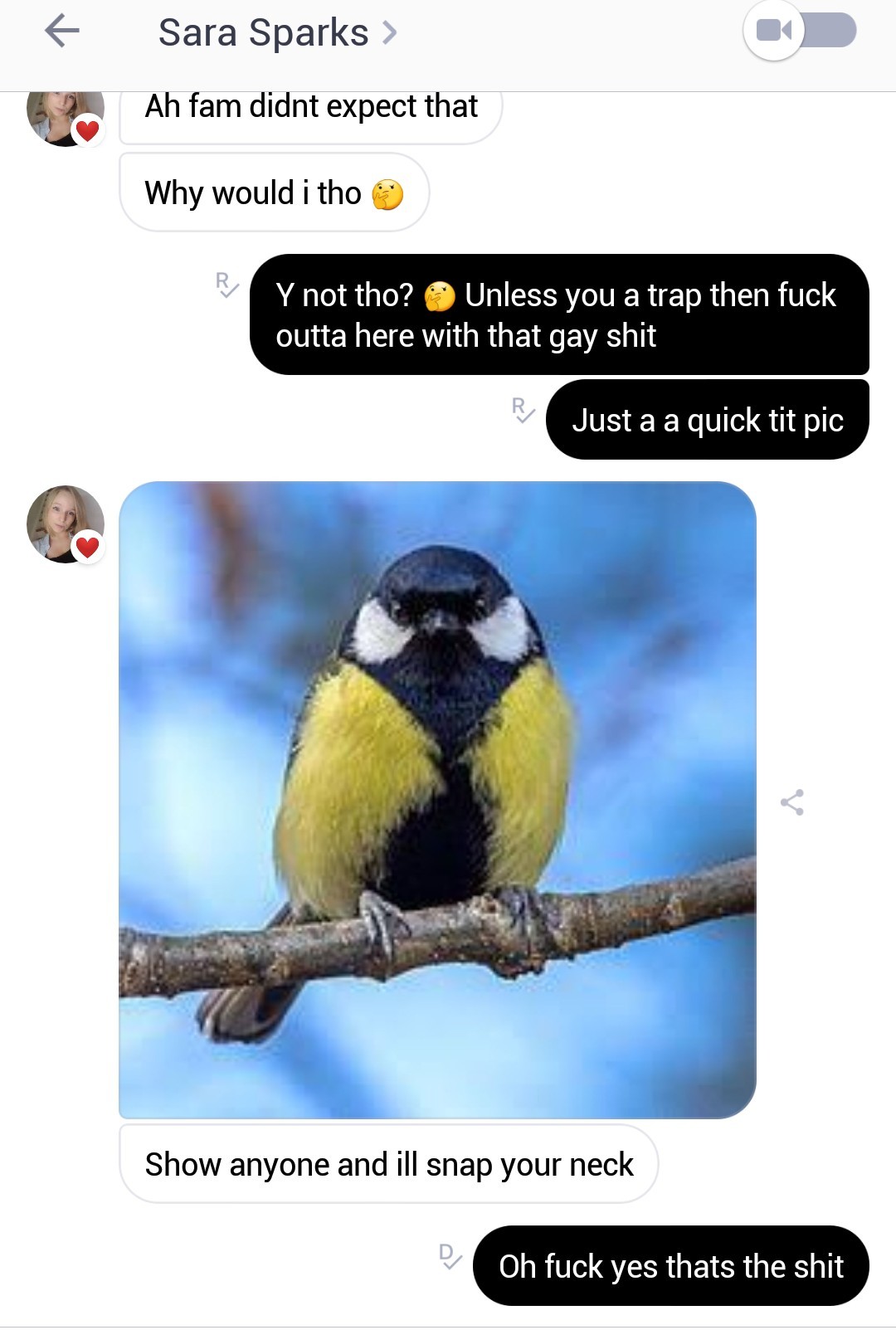 Tit pics - meme