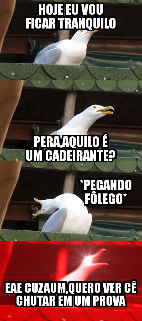 Indo pro inferno de tobogã - meme