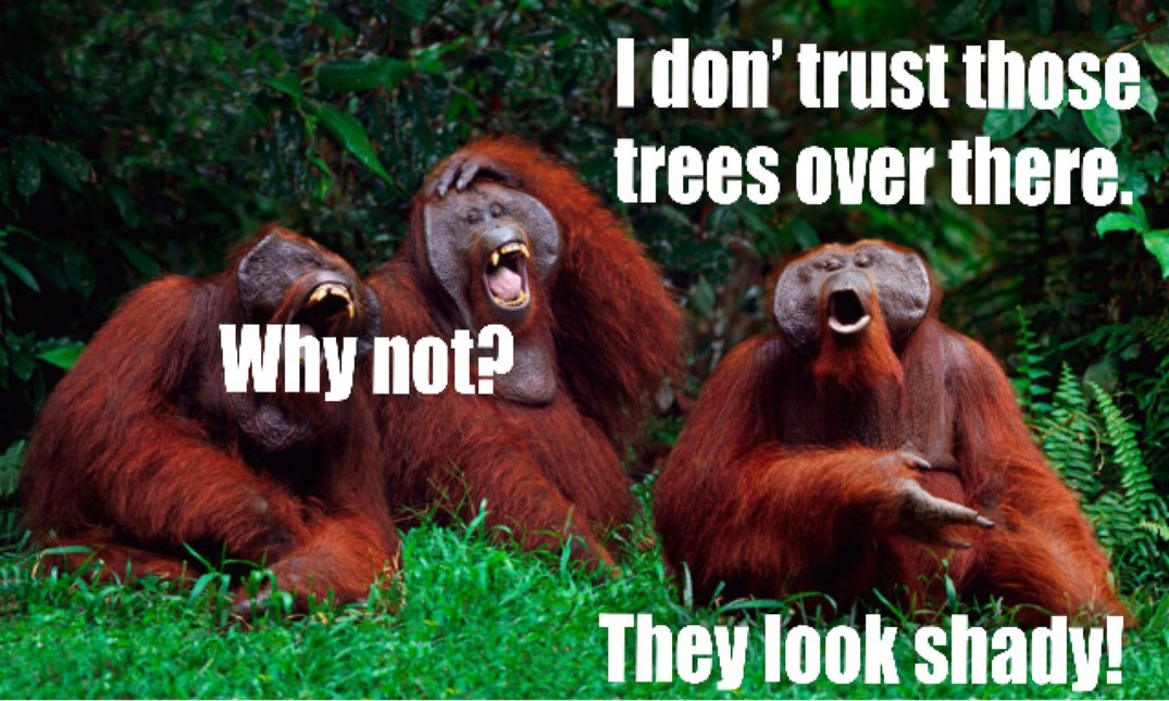 Three Apes - meme