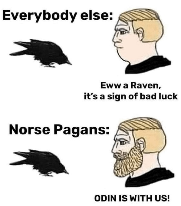Odin is with us - meme