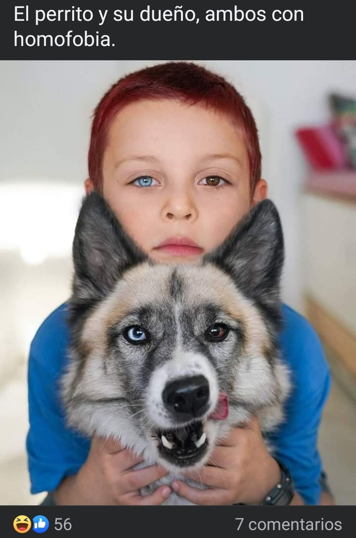 Título - meme