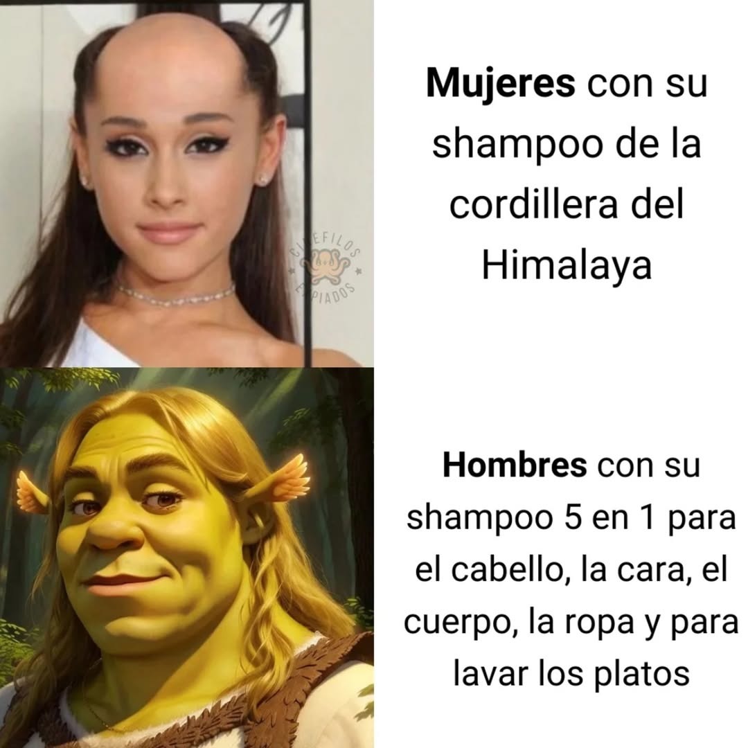 Ella con champú de montaña y yo con el lava todo - meme