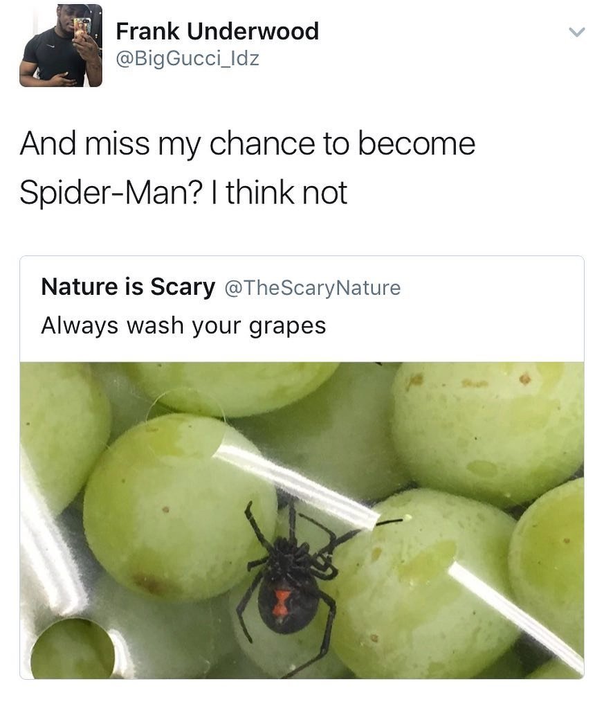 Grapes - meme