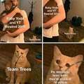 Please donate to team trees