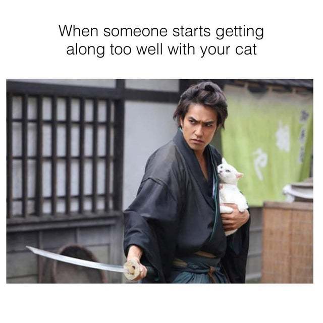 When someone starts getting along too well with your cat - meme