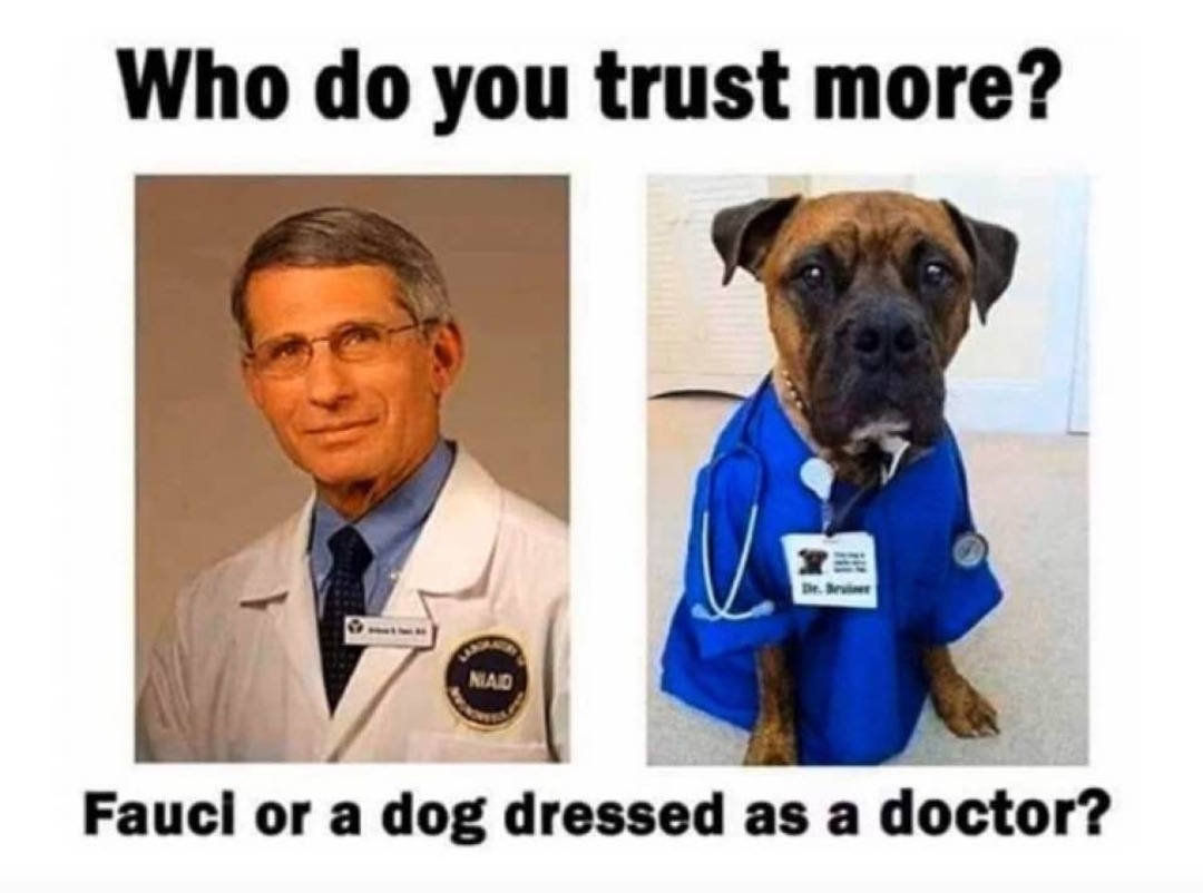 Dogs are more trustworthy by far! - meme