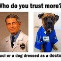 Dogs are more trustworthy by far!