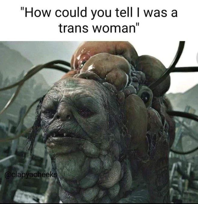 Trans "people" - meme