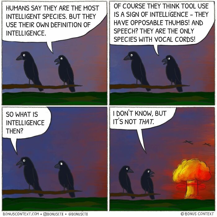 The store how our corvid overlords came to be - meme