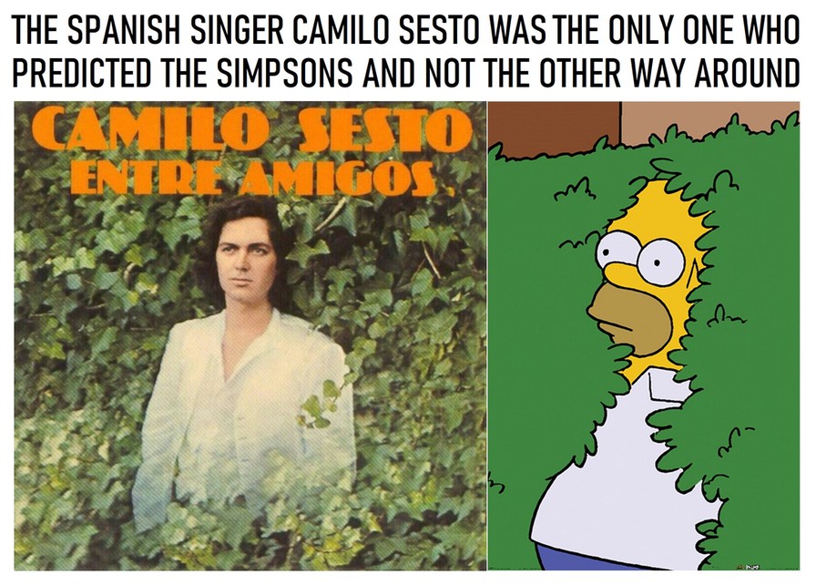 Or the album cover just "inspired" Simpsons - meme