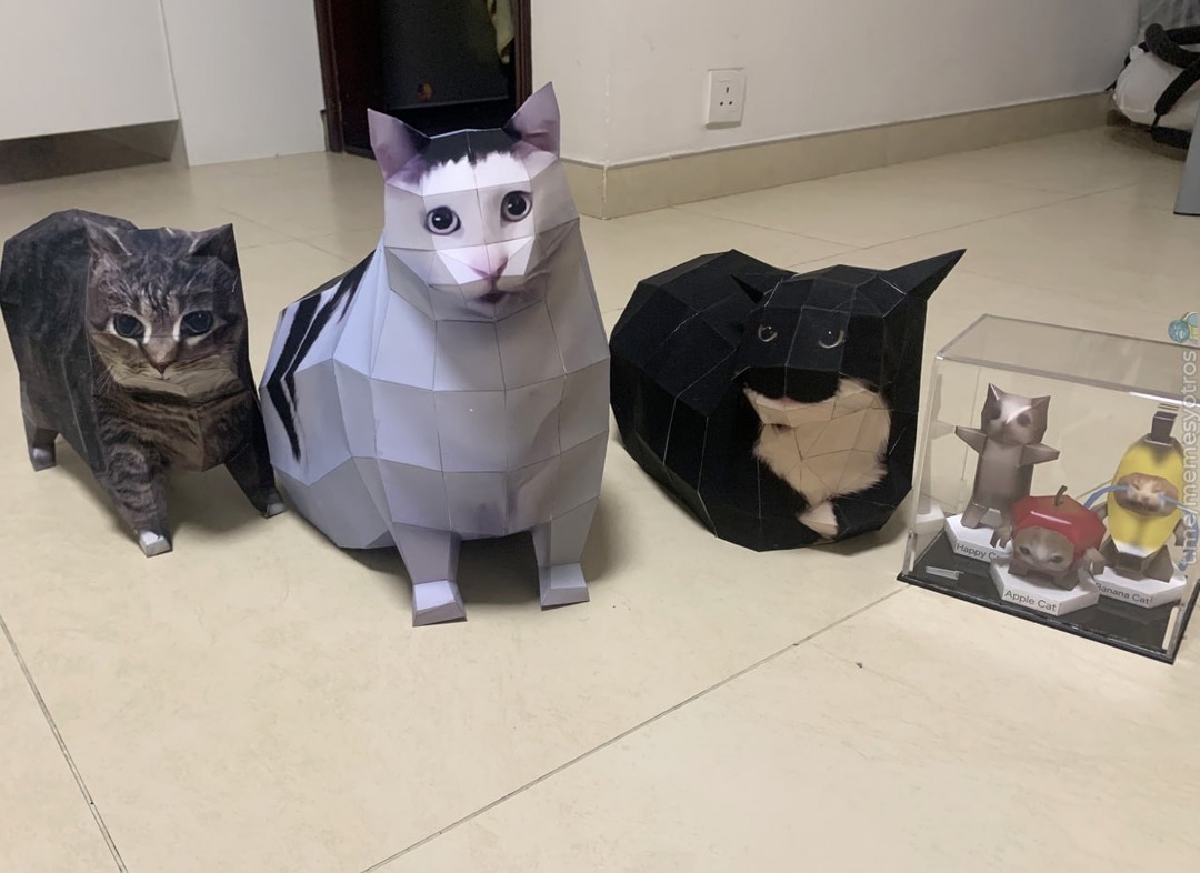 Gatos poligonales - meme