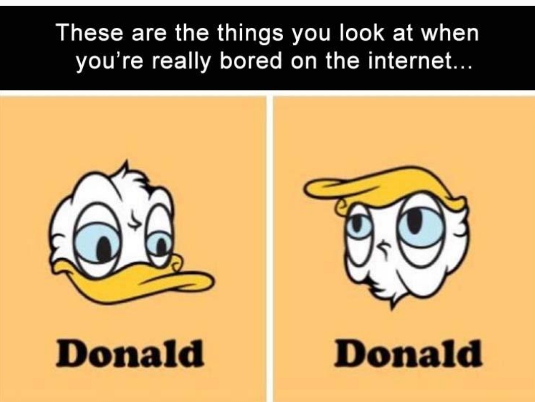 Trump duck - meme