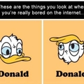 Trump duck