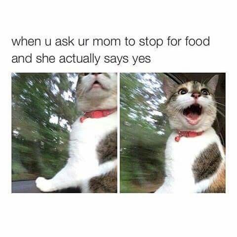 Can we stop for food? - meme