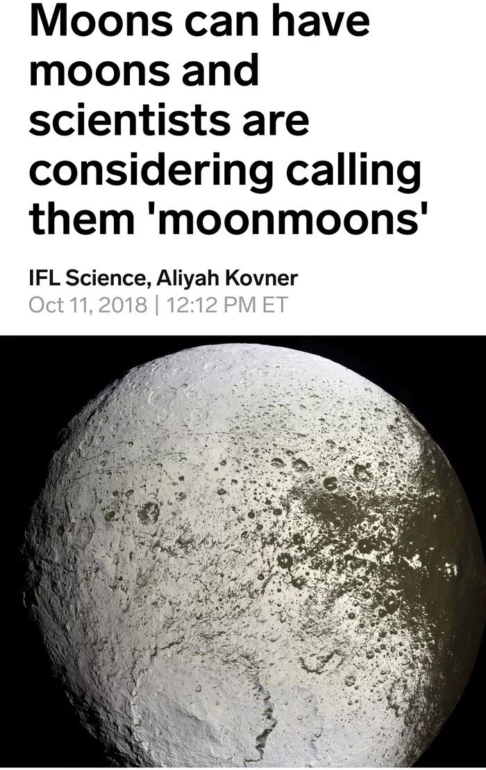 Could moon moon make a come back!? - meme