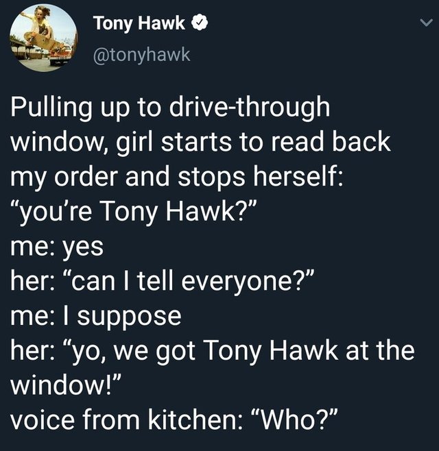 Are you Tony Hawk? - meme