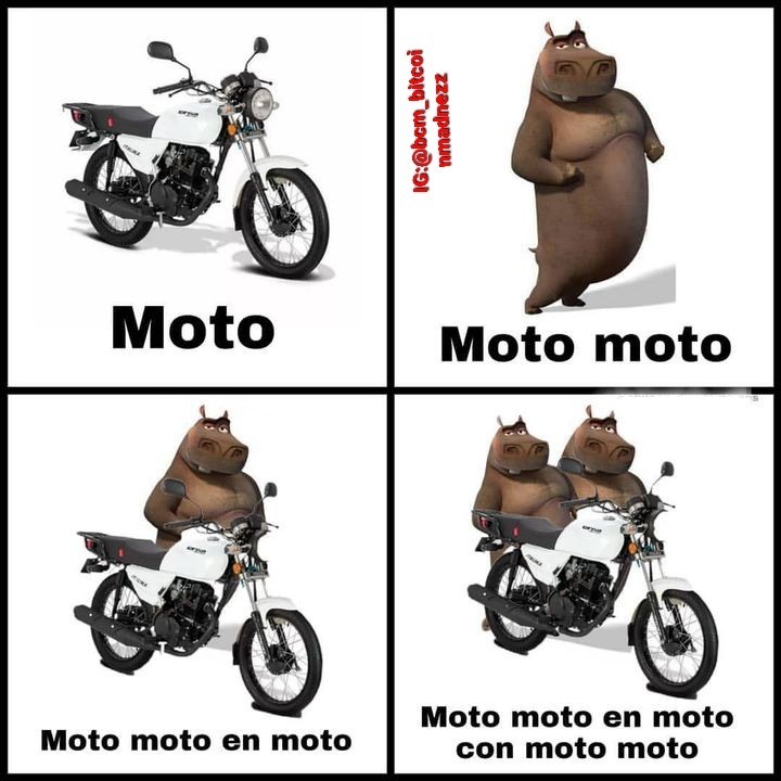 Moto Moto on X: @nacional_memes (?)  / X