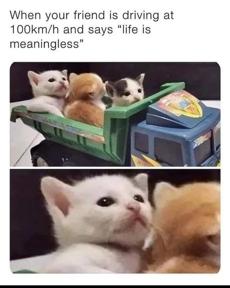 Meaningless life - meme