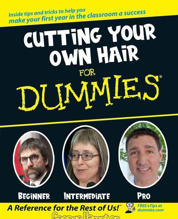 Trudeau's haircut - meme