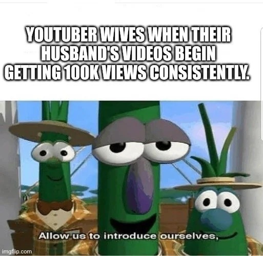 Youtuber wives - meme