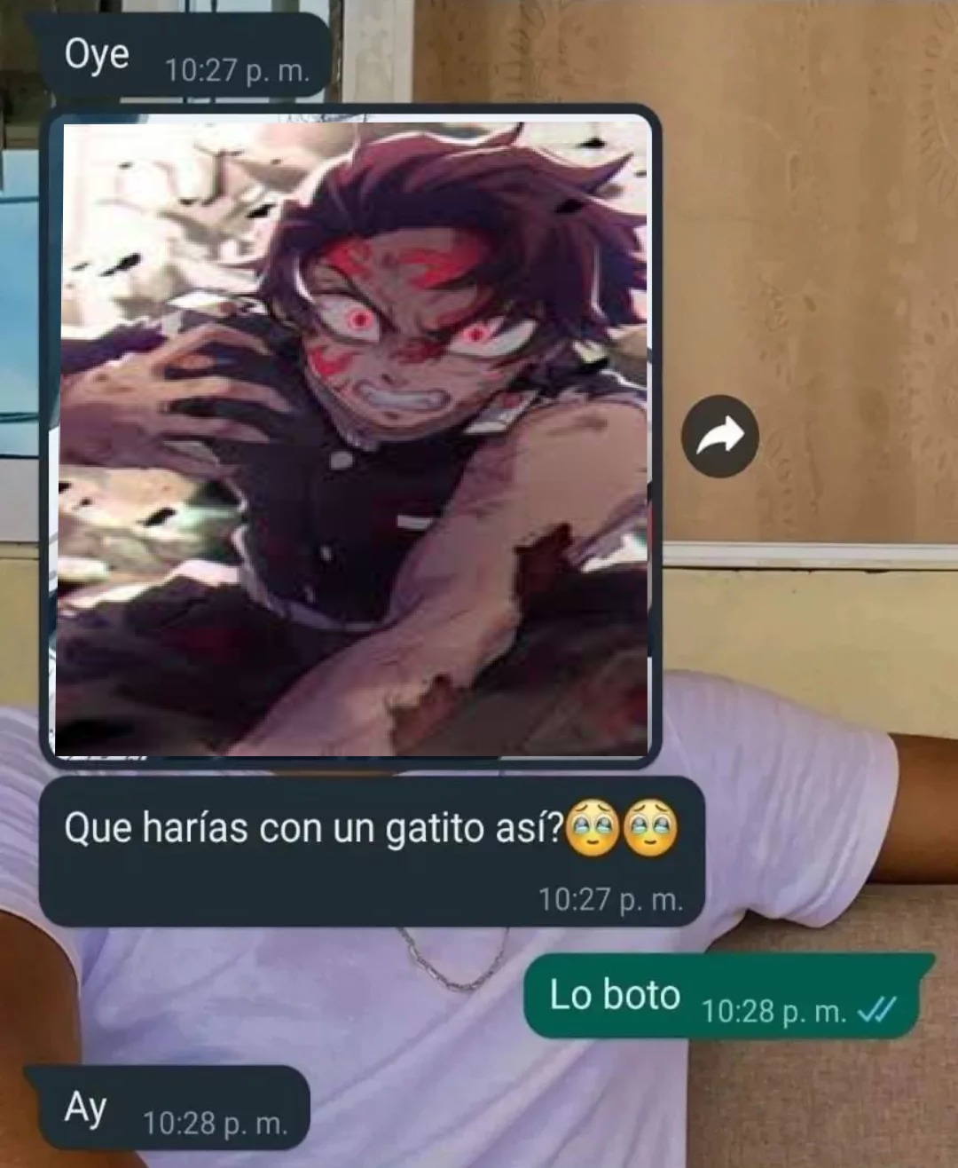 Es un repostero disfrazado de meme