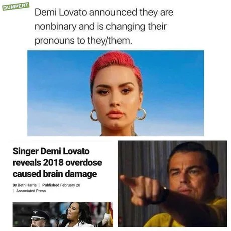 Demi Lovato goes by they them - meme