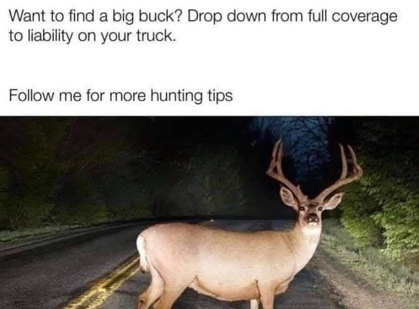 Free organic meat hack - meme