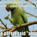 Racist but funny