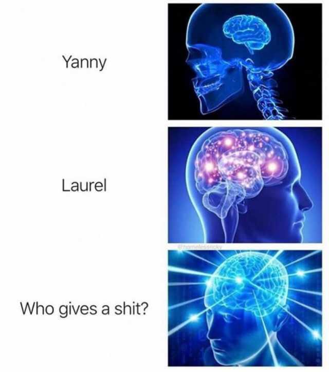 Who DOES give a shit? - meme