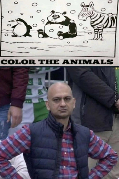 HahahHa color the animal's - meme