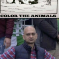 HahahHa color the animal's