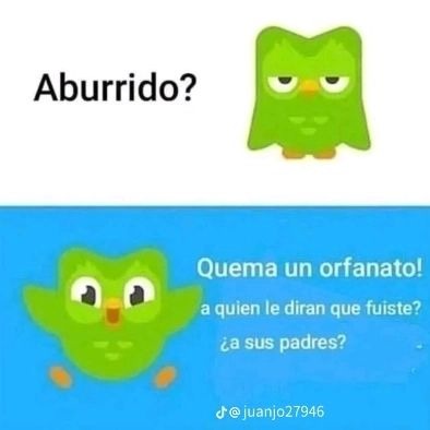 Duolingo? - meme